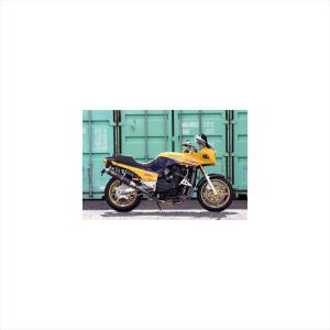 AKRAPOVIC（アクラポビッチ） 直送品 アールズギア BMW G310GS/R (23