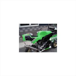 PLEASURE KSR110 Ninja250R タンク関連パーツ KR110 ENDURANCE タンク
