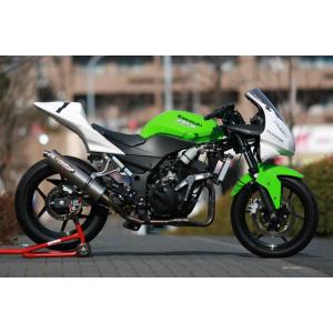 ツルノテクニカルサービス NINJA250 NINJA250R デュアルレーシング