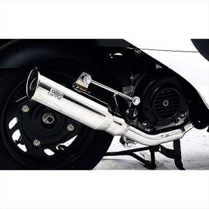 カワサキ ZZR250 1990-2007 LCIPARTS GPステンレススリップオン