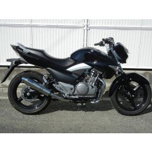 カワサキ Z400 2019-2024 LCIPARTS ショートステンレススリップオン
