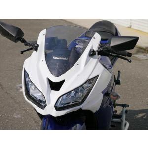 才谷屋ファクトリー Ninja250R 「ZX-6Rレプリカ」アッパーカウル