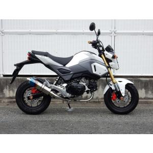 WR'S（ダブルアールズ） バイク マフラー 2016-2019 GROM (EBJ-JC61