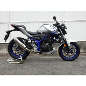 WR'S（ダブルアールズ） バイク マフラー YZF-R125・MT-125 (8BJ-RE45J
