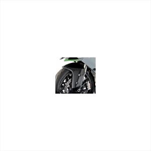 Ninja KAWASAKI ZX-10R 2006-2007 触媒レス 触媒ストレート 触スト