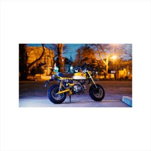 バイクパーツ ハンドル アントライオン デコンプホルダーキット