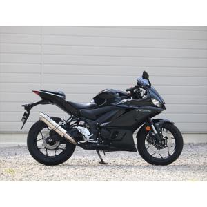 マフラー ダブルアールズ WR`S S O S.O.Vチタン 焼き色タイプ YZF-R25