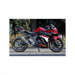 マフラー スペシャルパーツタダオ SP忠男 POWER BOX メガホン GSX250R 17 GS2-PB-01 取寄品