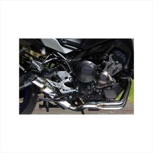 BEET ナサートR Evo TYPE-2 JSB ZX-10R 11-15 クリアチタン (ビート