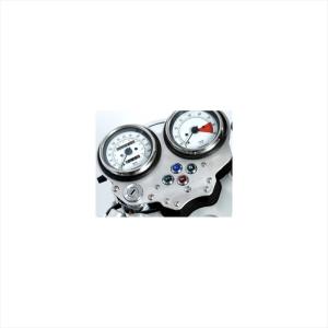 バイクパーツ 電装系 アールアンドジー Instrument Fascia RG-IF0002SI