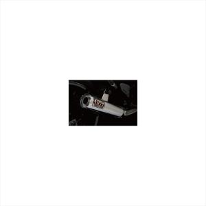 YOSHIMURA(ヨシムラ) Slip-On サイクロン BREVIS SS 110-269-5450
