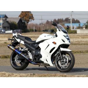 r's gear アールズギア ワイバン フルエキゾースト シングルタイプ