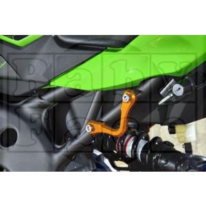 バイク BABYFACE ベビーフェイス レーシングフック BLK Ninja ZX-25R 20 ...