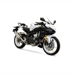 マフラー モリワキエンジニアリング モリワキ BLADE FE CBR250RR 17-22 23- 01810-F21W8-00 取寄品｜hatoya-parts