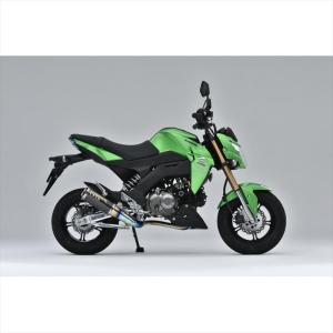 マフラー ダブルアールズ WR`S フルEX ショートオーバル ソリッド