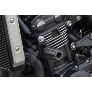 モリワキ MORIWAKI クランクケースガード LH Z900RS 01160-20250-00