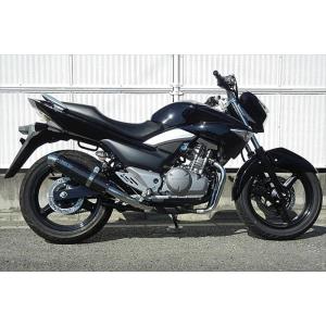 GSR250（JBK-GJ55D） ラウンドタイプ スリップオンマフラー ステンレス