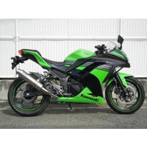 ニンジャ250 ダンモト スリップオンマフラー サイレンサー EX250L 13