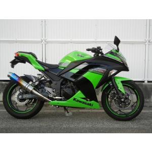 WR'S（ダブルアールズ） バイク マフラー 2013 -2017Ninja250/ABS (JBK