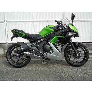 マフラー ダブルアールズ WR`S フルEX ラウンドステンレスサイレンサー Ninja400 ABS 14-17(EBL-EX400E) LA4420JM 取寄品｜hatoya-parts