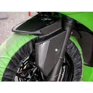 バイク 外装 フロントフェンダー/カーボン綾織 Ninja250/400 18- 3K8NJ25FF-CB1 取寄品｜hatoya-parts