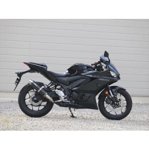 YZF-R25（JBK-RG10J） マフラーヒートガード アルミ（WRSマフラー専用