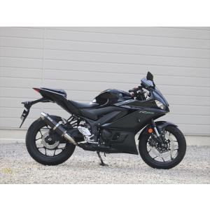 マフラー ダブルアールズ WR`S S O ラウンドカーボンサイレンサー YZF-R25 22-(8BK-RG74J) MT-25 22-(8BK-RG74J) BC2270JM 取寄品｜hatoya-parts