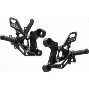 AKRAPOVIC（アクラポビッチ） 直送品 レーシングライン カーボン