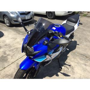 アクリポイント 4580423291545 品番:130011 SUZUKI GSX250Rクリア