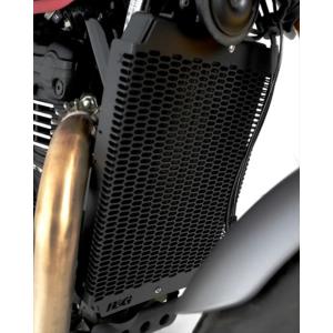 バイクパーツ 冷却系 アールアンドジー PRO Radiator Guard:BLACK TRIUMPH Speed400 24- Scrambler400X 24- RG-RAD0346PROBK｜hatoya-parts