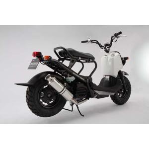 BEAMS（ビームス） マフラー 送料無料 マフラー ズーマー/ZOOMER SS300