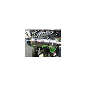 BEET NASSERT-R EvoTYPE2(ST) クリアTI ZX-6R 11- (ビート 1002-B52-50