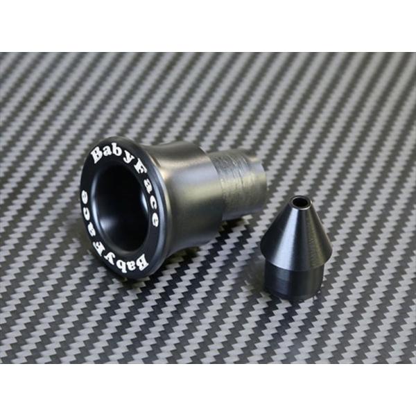 バイク BABYFACE ベビーフェイス アクスルプロテクター リア BLK ZX-10R 16- ...