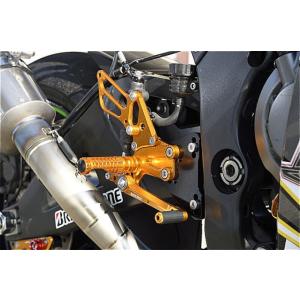 バイク BABYFACE ベビーフェイス レースコンセプトステップキットGD vr19 逆シフトZX...