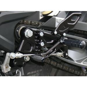 バックステップ KTM DUKE125/200/390 6ポジション SS-AA2121B COLO...