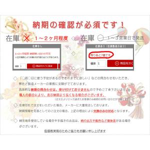 髪飾り 成人式 赤 振袖 袴 2点セット 花 ...の詳細画像1