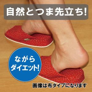 初恋ダイエットスリッパ (畳)5/20 BSフ...の詳細画像1