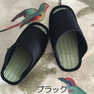 初恋ダイエットスリッパ (畳)5/20 BSフ...の詳細画像2