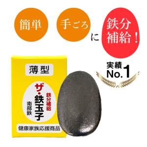 実績No.1 ザ 鉄玉子  薄型 南部鉄器 鉄分補給 黒豆の色出し 鉄卵 鉄たまご 貧血｜hatsumei-net