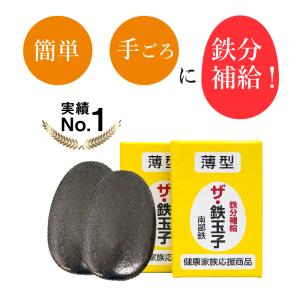 「2個セット」南部鉄器 薄型 ザ 鉄玉子　 鉄分補給 黒豆の色出し 鉄卵 鉄たまご 貧血｜発明学会ネットショップ