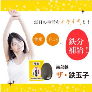実績No.1 ザ 鉄玉子 薄型 南部鉄器 鉄分...の詳細画像1