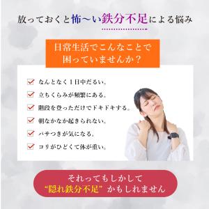 実績No.1 ザ 鉄玉子 薄型 南部鉄器 鉄分...の詳細画像2