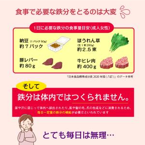 実績No.1 ザ 鉄玉子 薄型 南部鉄器 鉄分...の詳細画像3