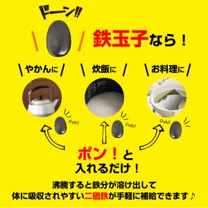 実績No.1 ザ 鉄玉子 薄型 南部鉄器 鉄分...の詳細画像4