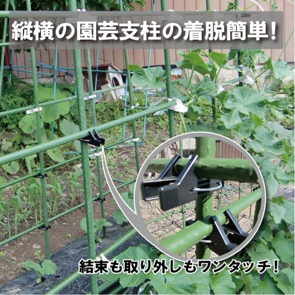 とまるくん （家庭菜園 ポール 農具 留め具）10個入り