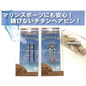 マリンスポーツ用チタンヘアピン2本入り 送料￥250