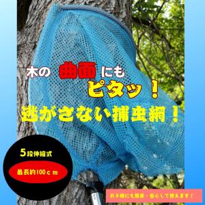 虫取りかんたん！らくらく昆虫捕獲｜夏休み 木に密着する捕虫網 たも カブトムシ・クワガタ・川底の生き物も逃がさない