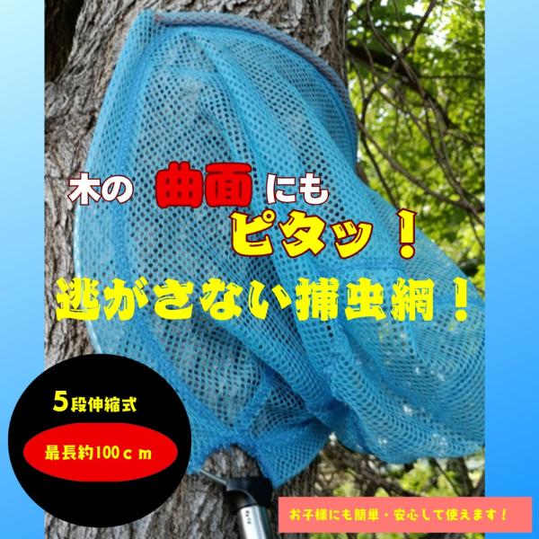 虫取りかんたん！らくらく昆虫捕獲　捕虫網