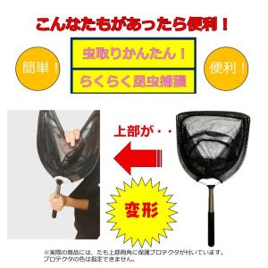虫取りかんたん!らくらく昆虫捕獲|夏休み 木に...の詳細画像1