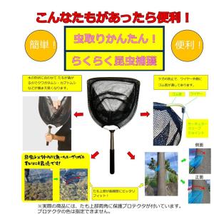 虫取りかんたん!らくらく昆虫捕獲|夏休み 木に...の詳細画像2